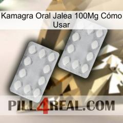 Kamagra Oral Jalea 100Mg Cómo Usar 17